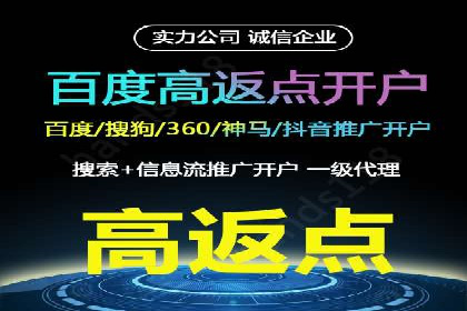 SEM外包助力品牌增长案例解析